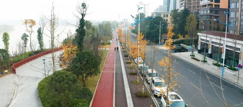 樂山高新區(qū)36條道路建設(shè)扎實(shí)推進(jìn) 工程管理全面升級